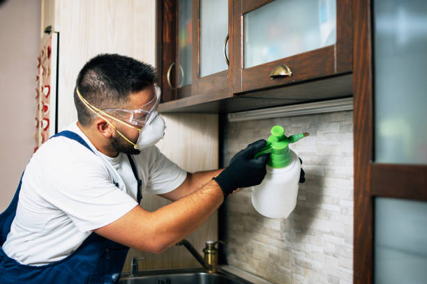 Flea Control Services in Landmark, AR