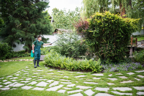 Professional Pest Control in Landmark, AR