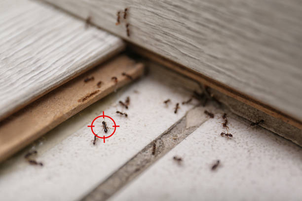 Best Wildlife Control Services  in Landmk, AR