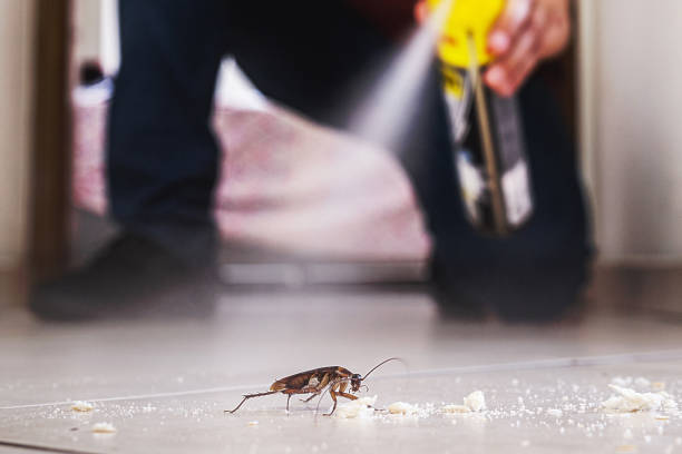 Professional Pest Control in Landmark, AR