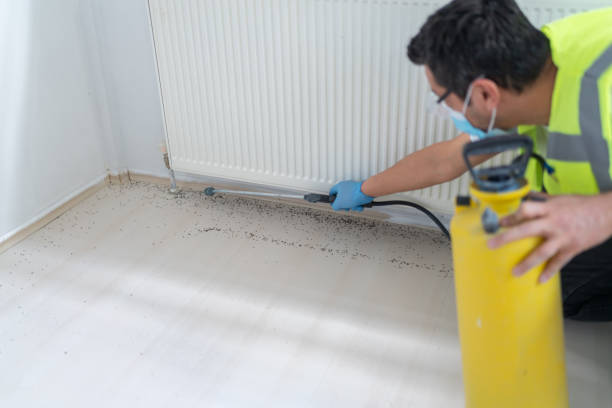 Best Pest Inspection Near Me  in Landmk, AR