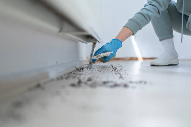 Best Wildlife Control Services  in Landmk, AR