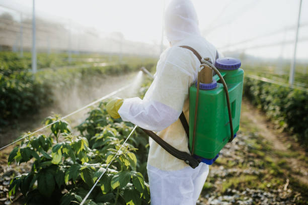 Best Residential Pest Control  in Landmk, AR